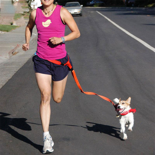 FastPaws Jogging Leash