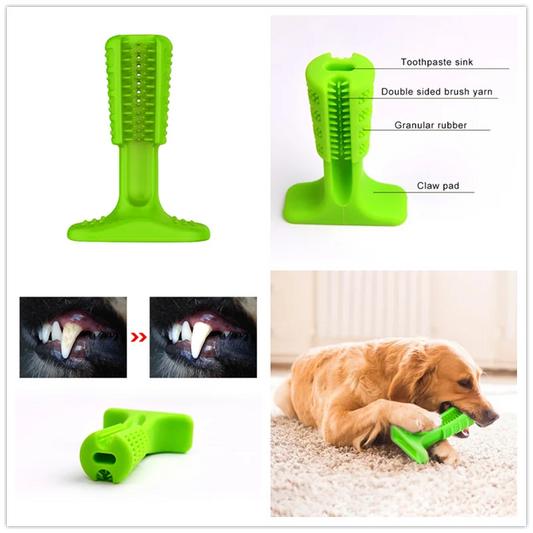 Dog Chew Toothbrush